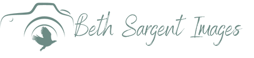 Beth Sargent - Website